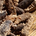 How to Dry Sea Cucumber: A Comprehensive Guide