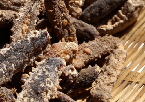 How to Dry Sea Cucumber: A Comprehensive Guide