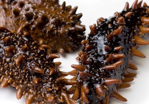 What are the health benefits of sea cucumber?