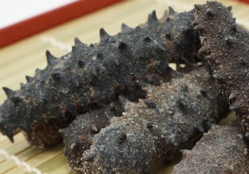How to Boil Sea Cucumber for Perfection